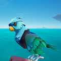 A Blue Water Parakeet with the outfit