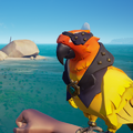 The Macaw with the Macaw Pirate Legend Outfit equipped.