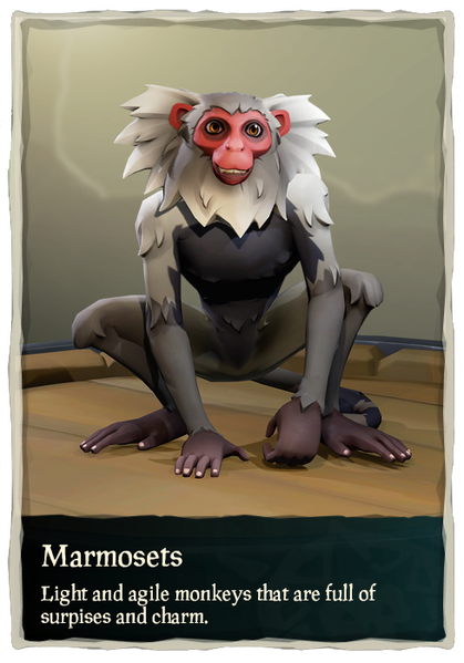 File:Marmosets.png