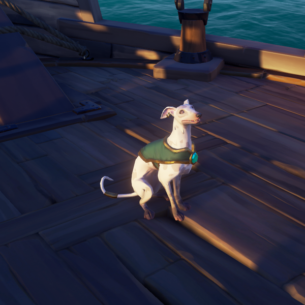 File:Ashpaw Whippet S.png