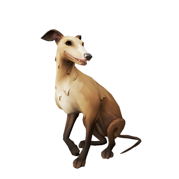 File:Fawn Whippet.png
