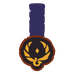 Arena Fox emblem.png