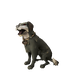 Spiffy (pet).png