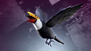 Brightbill Toucan promo.jpg