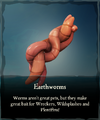 Earthworms in a player's inventory.