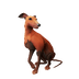 Redback Whippet.png