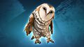 Barn Owl promotional image.