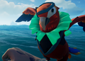 A Crimson Macaw with the outfit