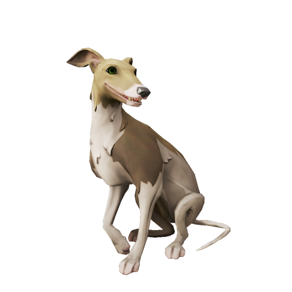 File:Streaked Whippet.png