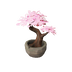 Blossoming Bonsai.png