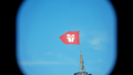 The Flag in-game.