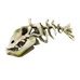 Splashtail Skeleton.png