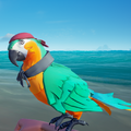 The Macaw with the Macaw Sea Dog Outfit equipped.