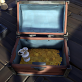 Aside from small Treasures, Treasure Chests have gold inside!
