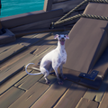 The Ashpaw Whippet in-game.