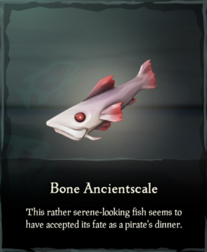 Bone Ancientscale.png