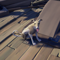 The Streaked Whippet in-game.
