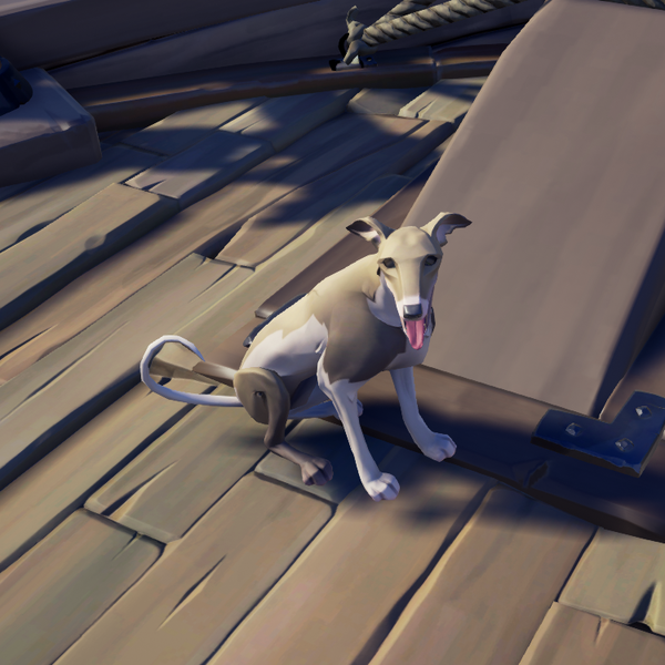 File:Streaked Whippet 1.png