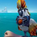 The Cockatoo with the Cockatoo Kraken Outfit equipped.