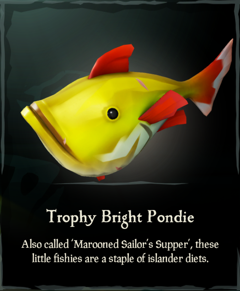File:Trophy Bright Pondie.png